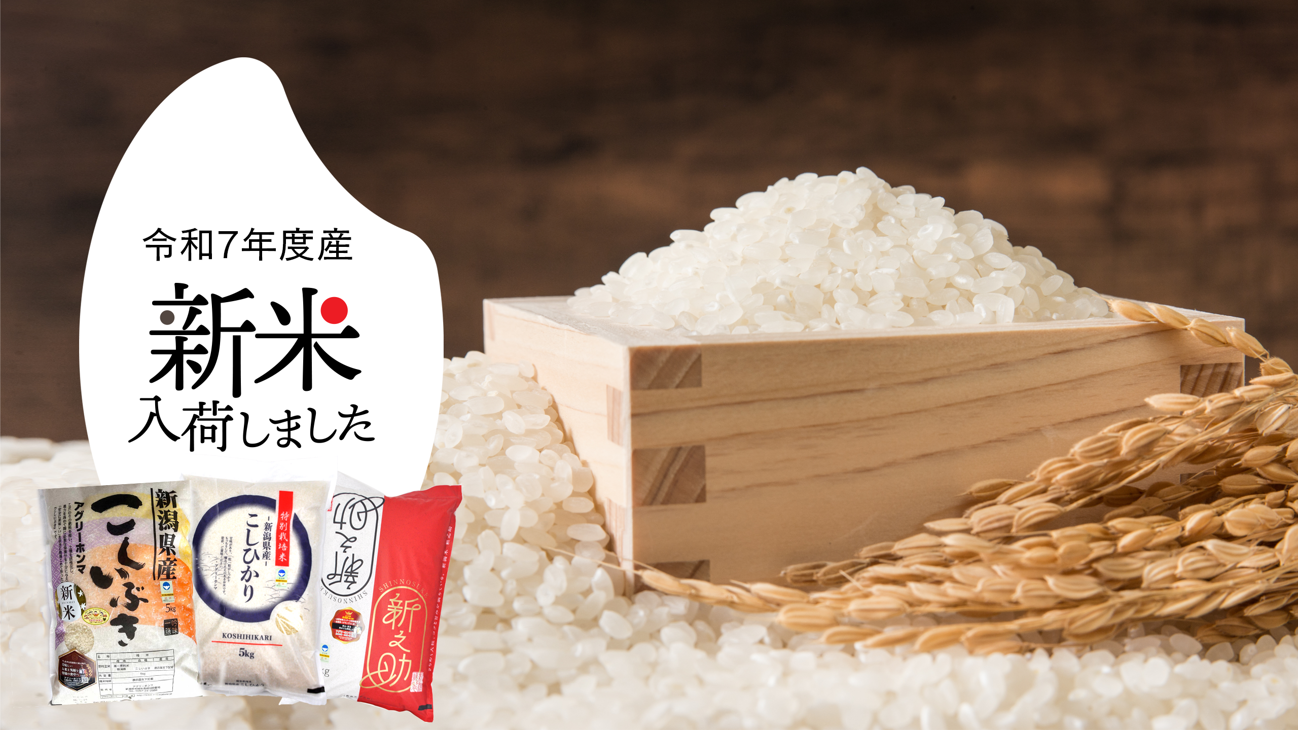 header_image