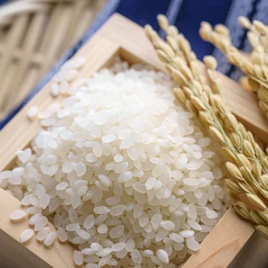 rice-r7-016