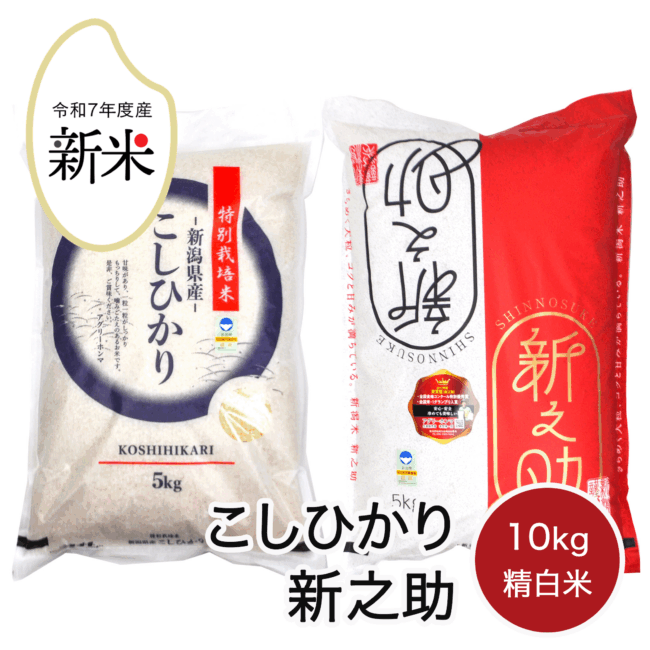 rice-r7-013