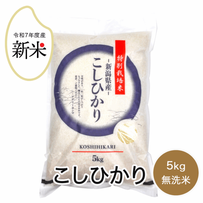 rice-r7-002
