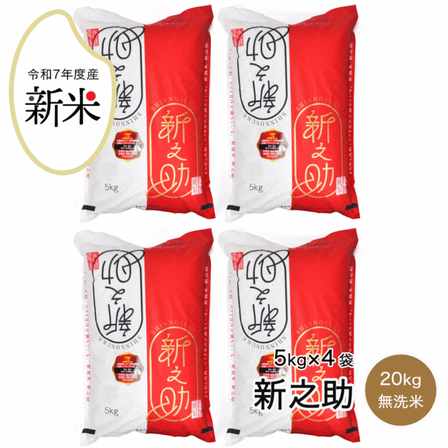 rice-r7-012