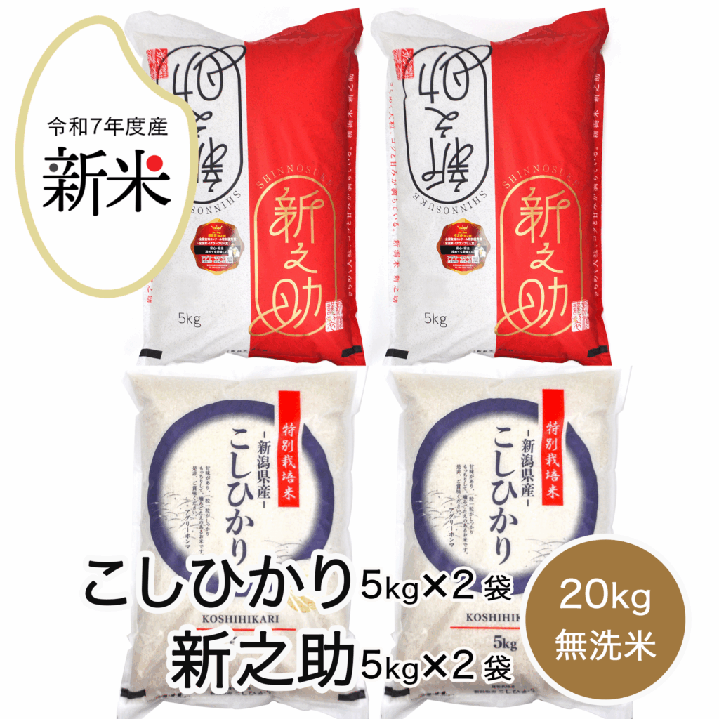 rice-r7-016