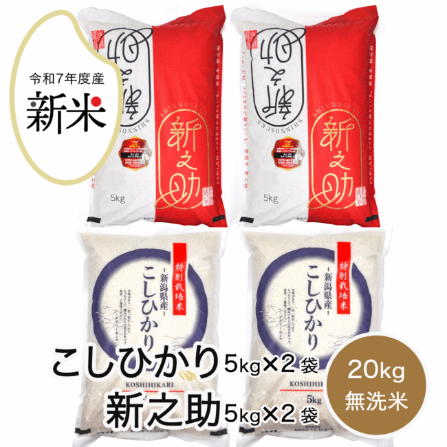 rice-r7-016