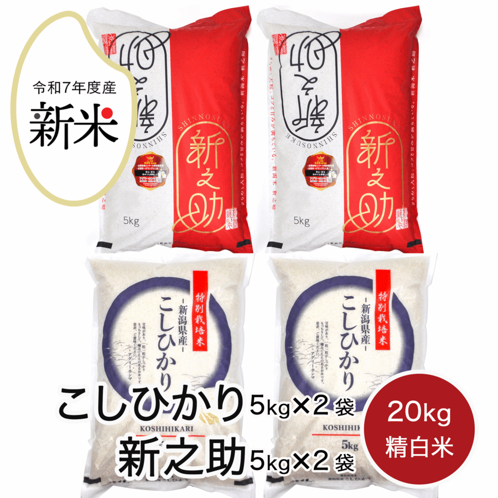 rice-r7-015