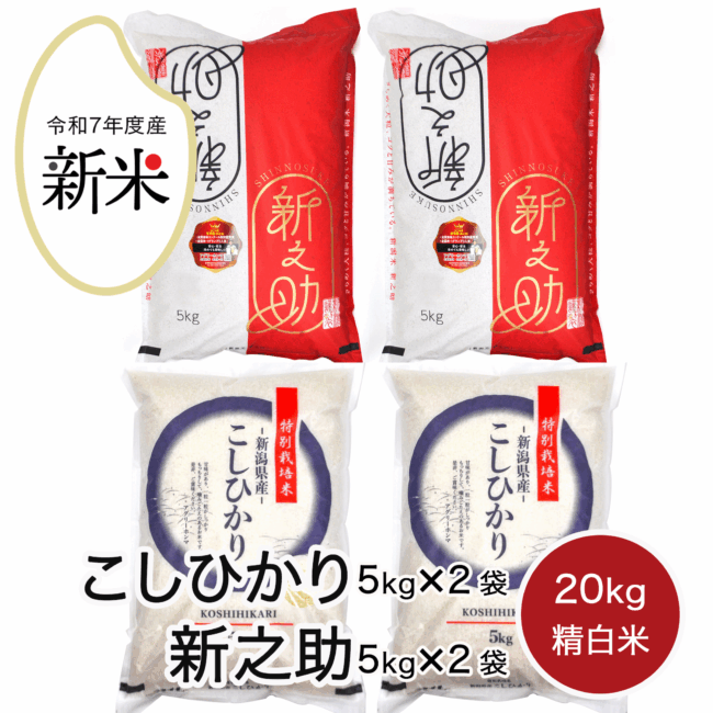 rice-r7-015