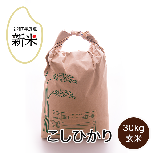 rice-r7-018