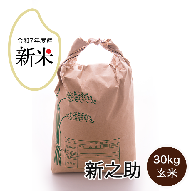 rice-r7-017